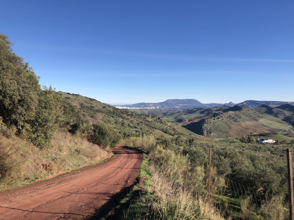 panorama-10