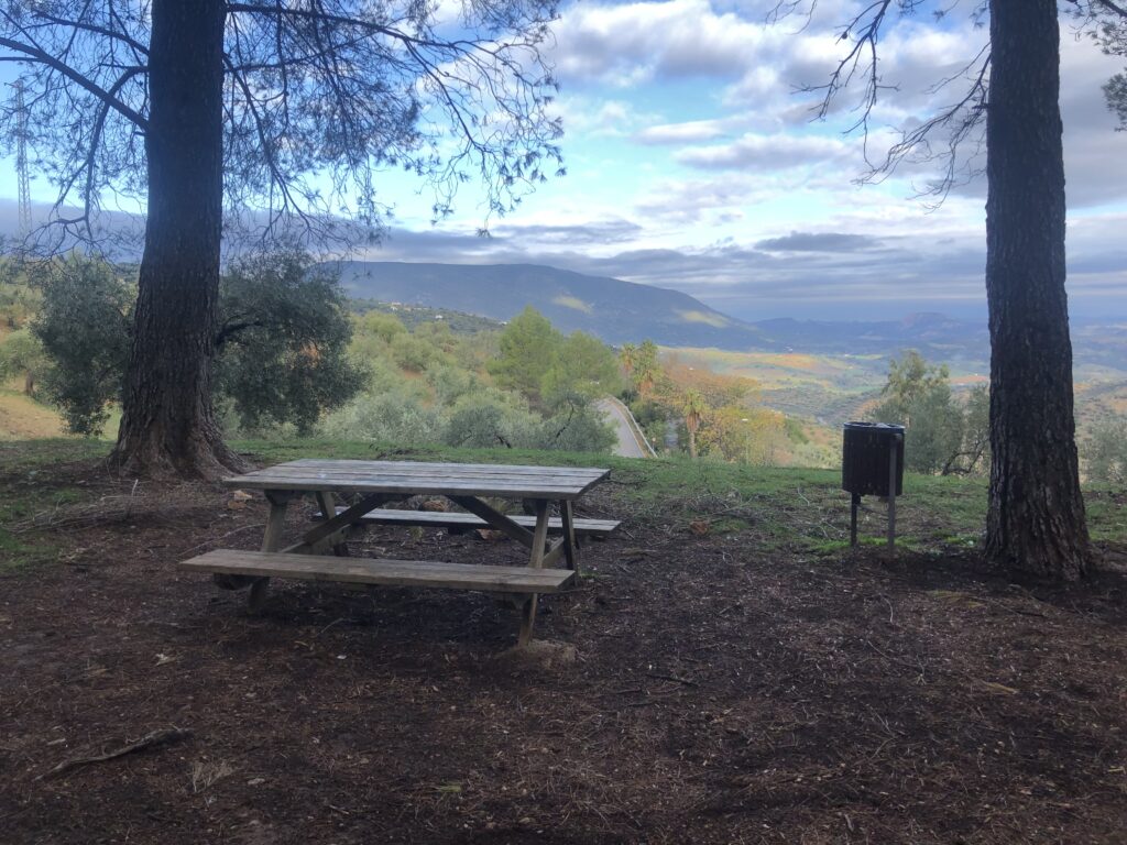 panorama-8