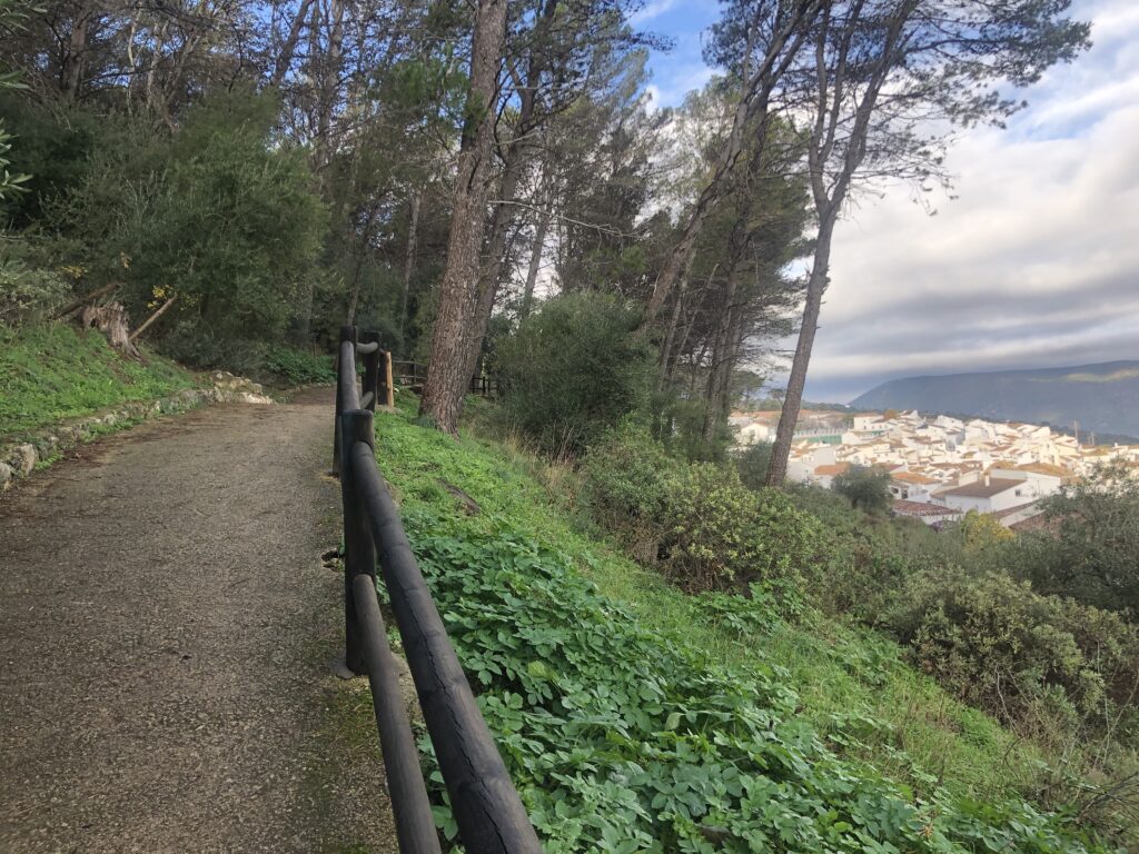 panorama-9