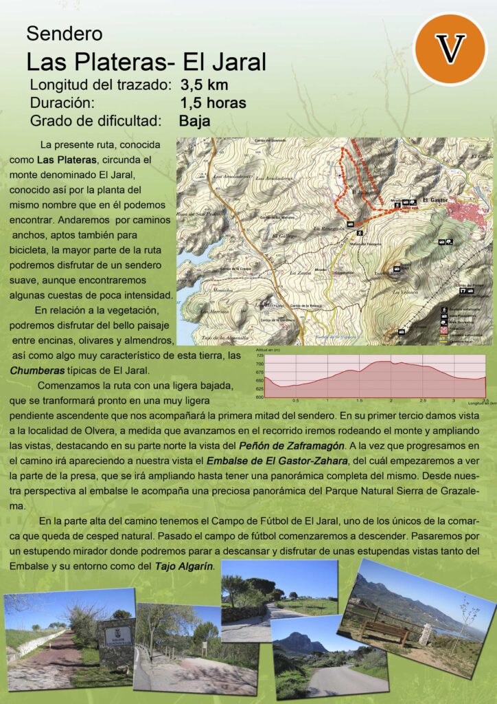 sendero-7