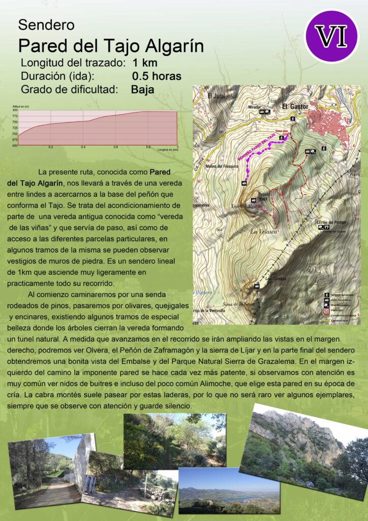 sendero-8