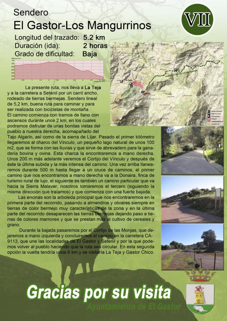 sendero-9