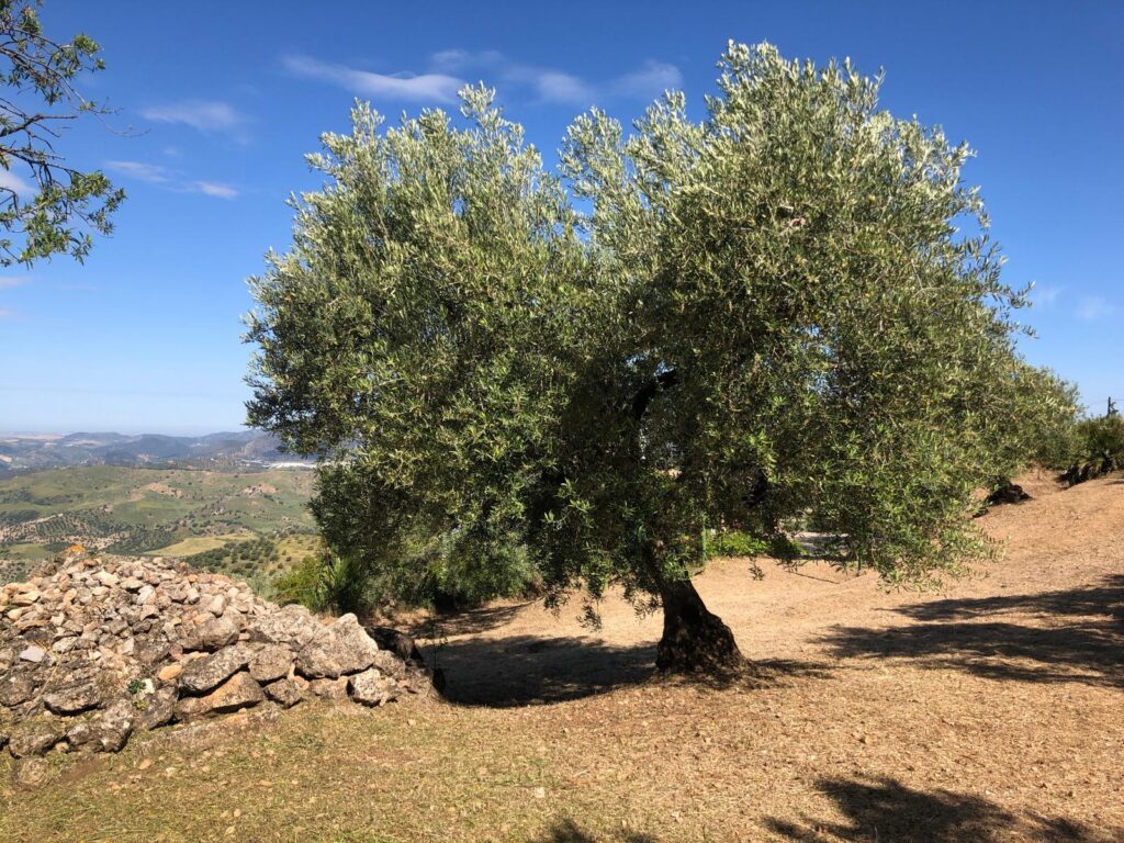 lugares_12