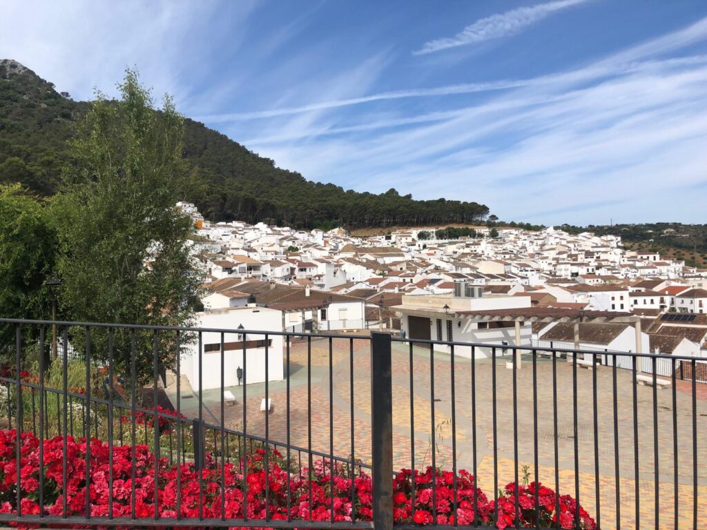 panorama-11
